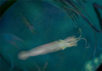 Drawing of white squid-like animal in blue water